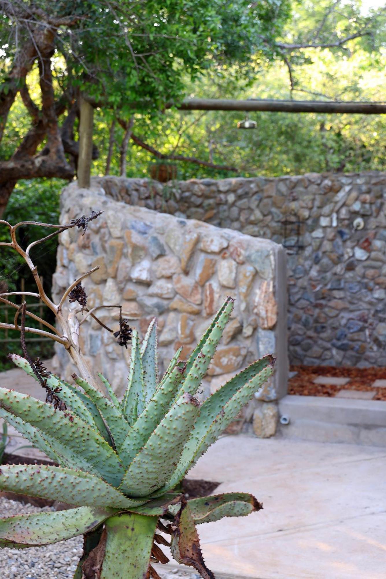 Grace Of Africa, Couples 5 Star Nature Lodge Marloth Park Eksteriør billede